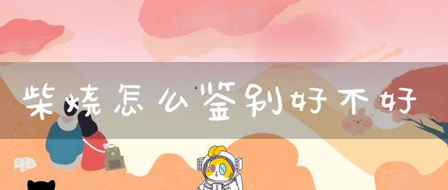 柴烧怎么鉴别好不好