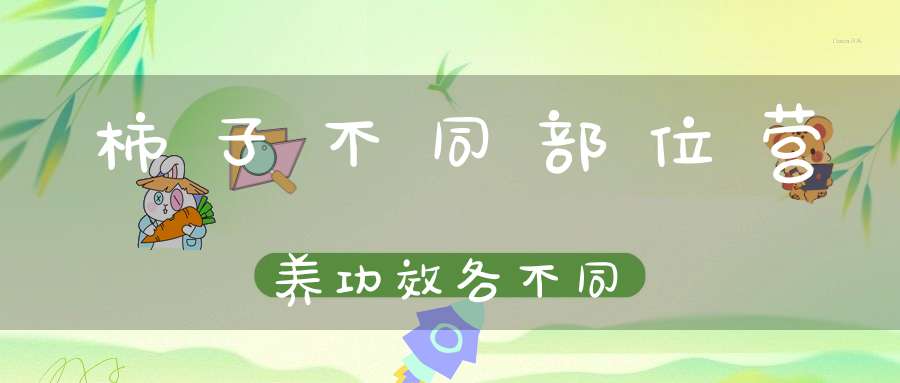 柿子不同部位营养功效各不同