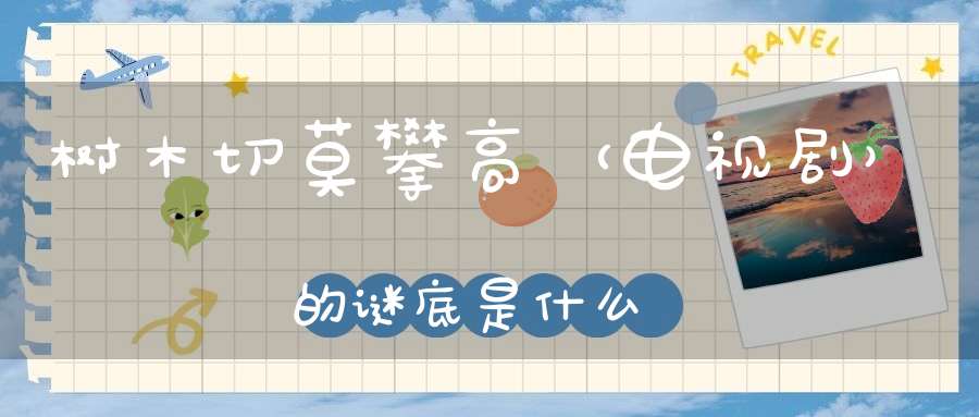 树木切莫攀高 （电视剧）的谜底是什么?