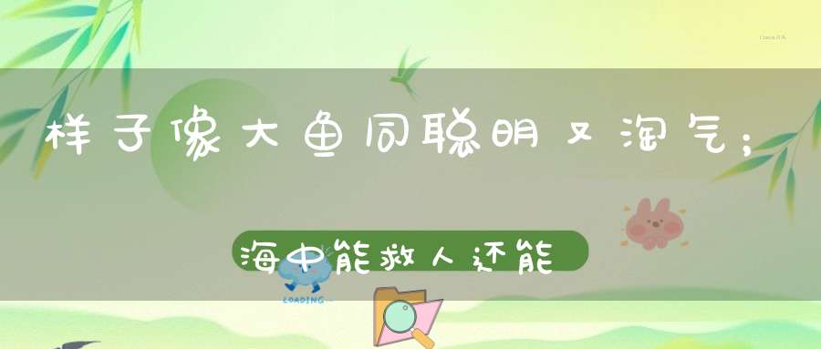 样子像大鱼同，聪明又淘气；海中能救人，还能耍杂技。 （猜一动物）