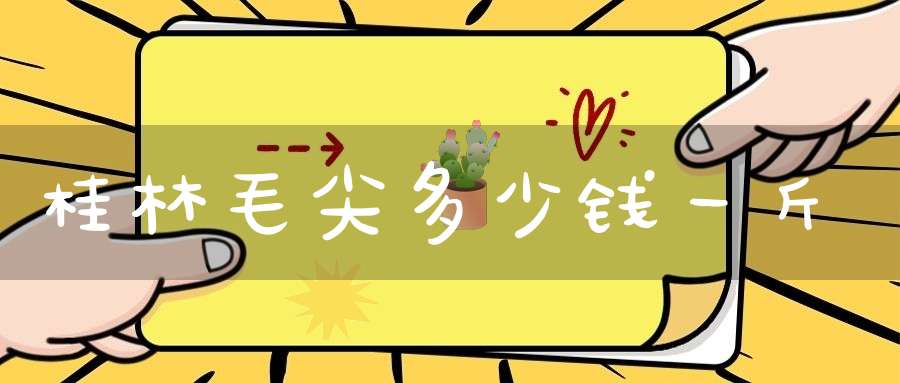 桂林毛尖多少钱一斤