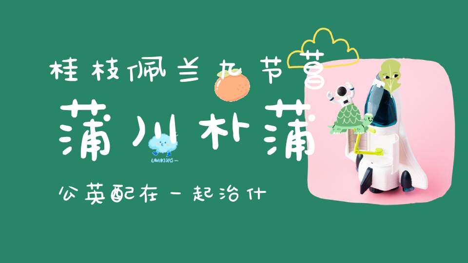 桂枝佩兰九节菖蒲川朴蒲公英配在一起治什么病？