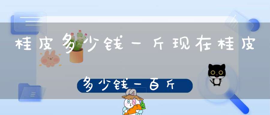 桂皮多少钱一斤?现在桂皮多少钱一百斤