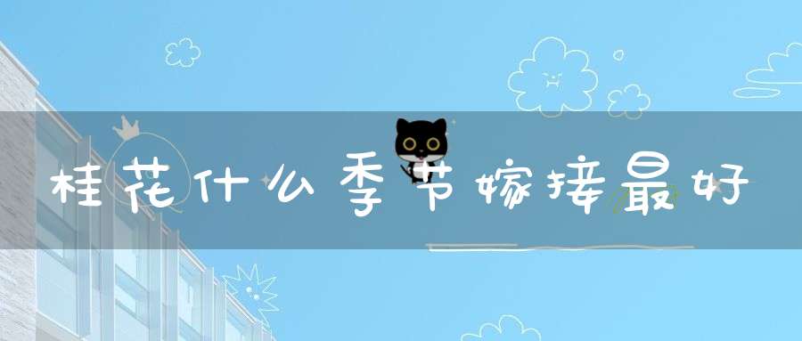 桂花什么季节嫁接最好