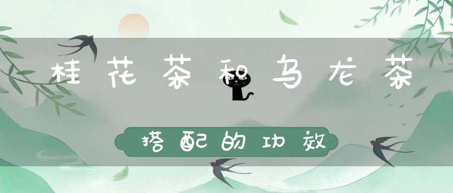桂花茶和乌龙茶搭配的功效