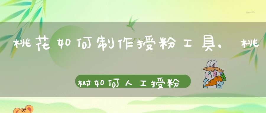 桃花如何制作授粉工具,桃树如何人工授粉