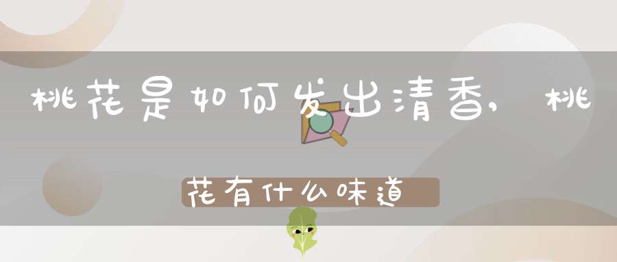 桃花是如何发出清香,桃花有什么味道