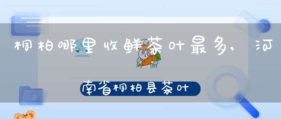 桐柏哪里收鲜茶叶最多,河南省桐柏县茶叶基地