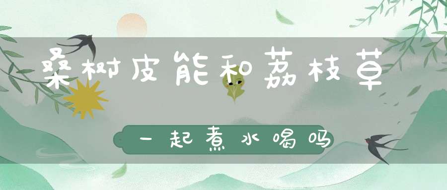 桑树皮能和荔枝草一起煮水喝吗？