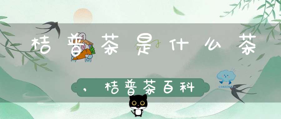 桔普茶是什么茶,桔普茶百科