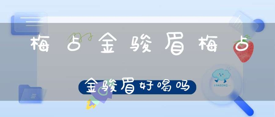 梅占金骏眉梅占金骏眉好喝吗