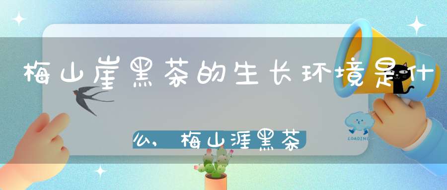 梅山崖黑茶的生长环境是什么,梅山涯黑茶