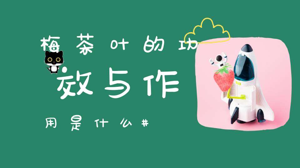 梅茶叶的功效与作用是什么
