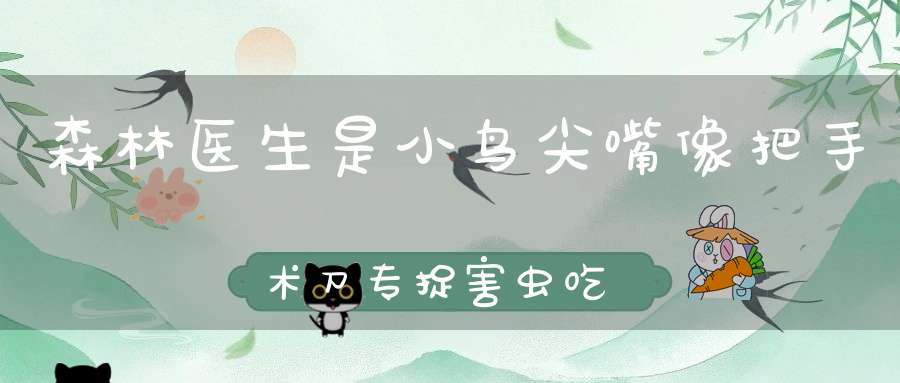 森林医生是小鸟，尖嘴像把手术刀，专捉害虫吃个饱，保护树木有功劳。 （猜一动物）