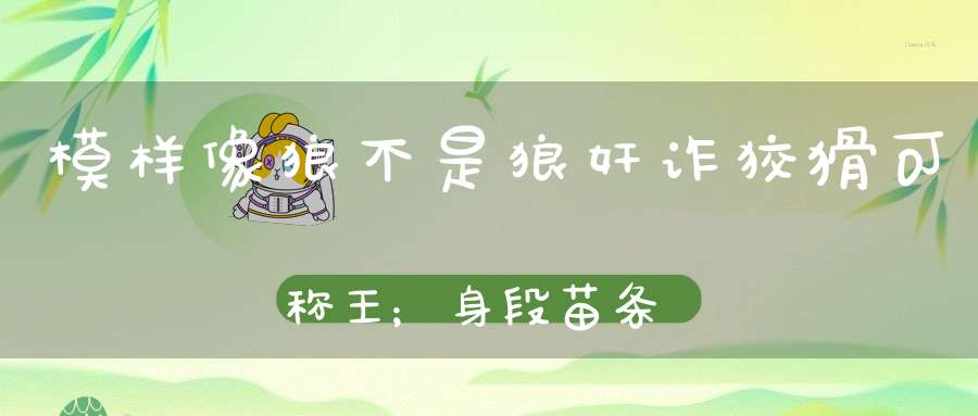模样像狼不是狼，奸诈狡猾可称王；身段苗条三角脸，棕黄毛色尾巴长。 （猜一动物）