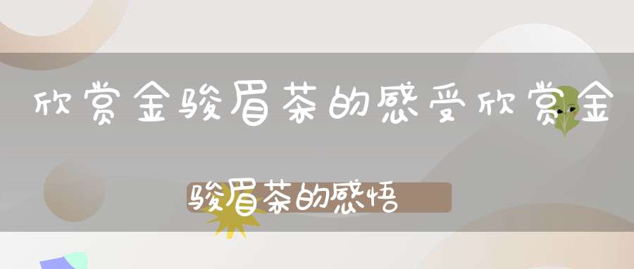 欣赏金骏眉茶的感受欣赏金骏眉茶的感悟
