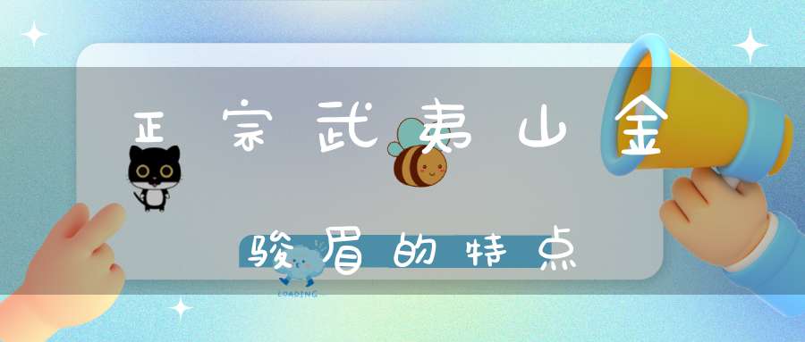 正宗武夷山金骏眉的特点