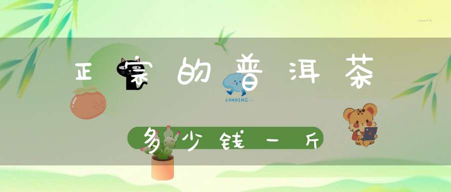 正宗的普洱茶多少钱一斤
