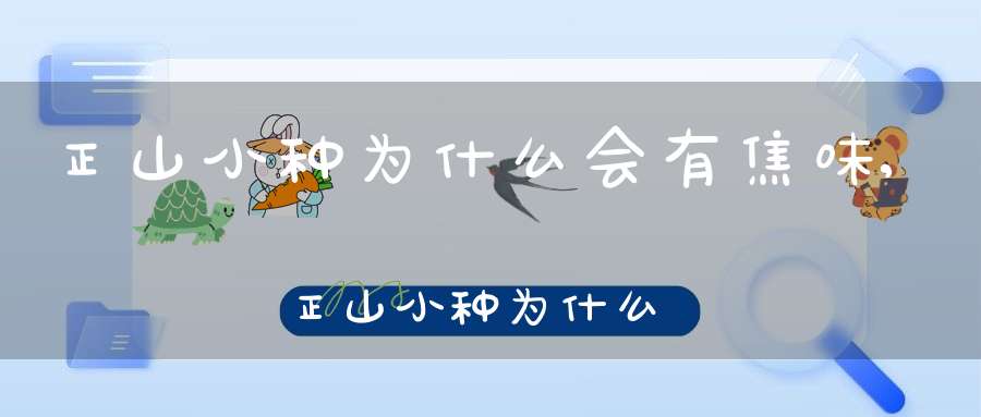正山小种为什么会有焦味,正山小种为什么有酸味