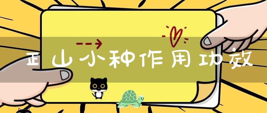 正山小种作用功效