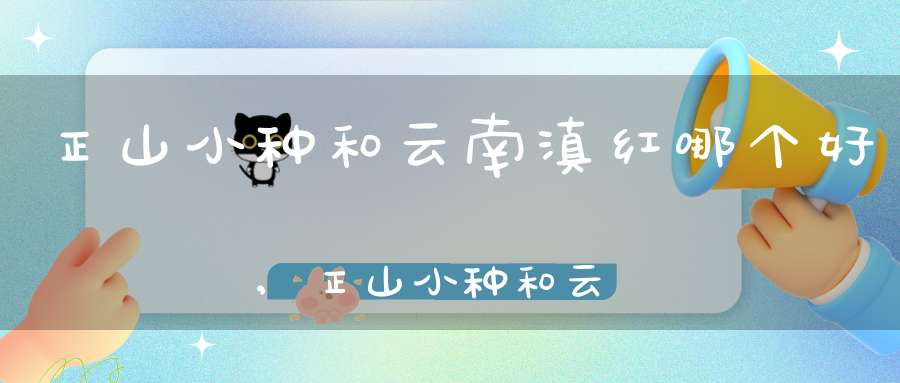 正山小种和云南滇红哪个好,正山小种和云南滇红哪个贵