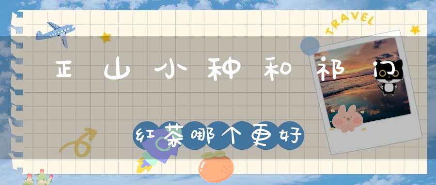 正山小种和祁门红茶哪个更好