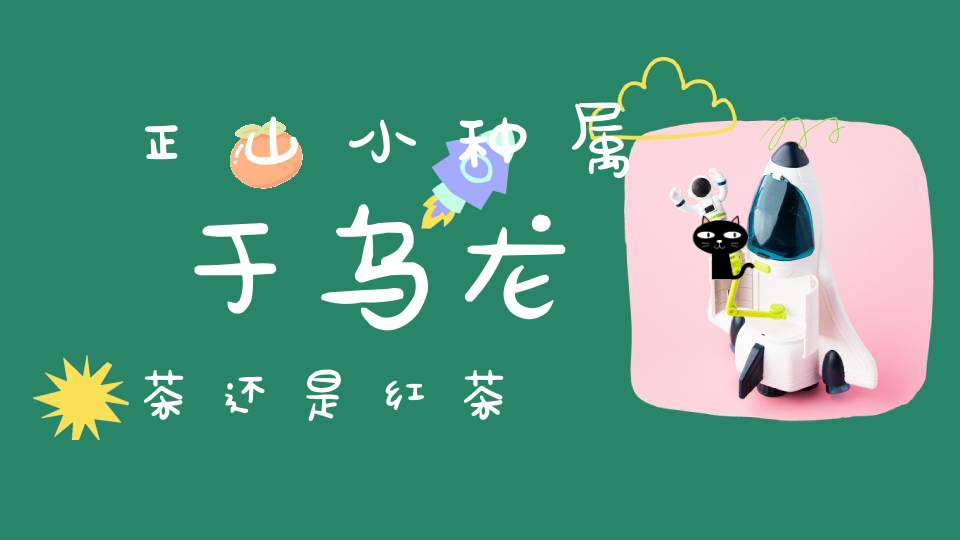 正山小种属于乌龙茶还是红茶