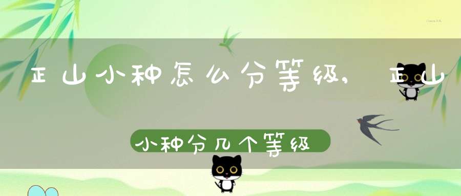 正山小种怎么分等级,正山小种分几个等级