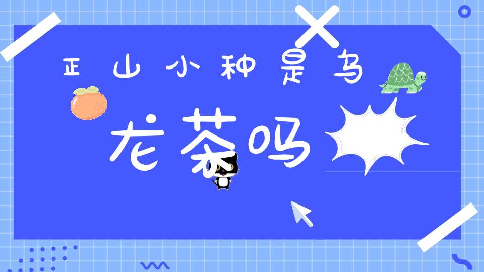 正山小种是乌龙茶吗