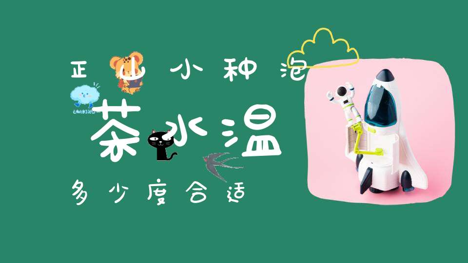 正山小种泡茶水温多少度合适