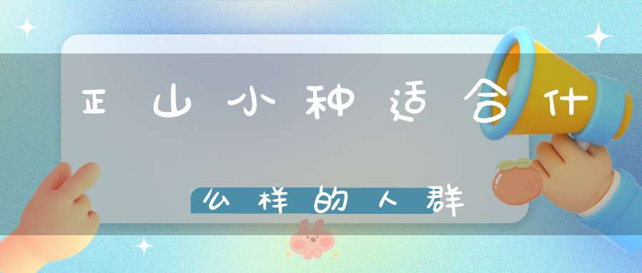 正山小种适合什么样的人群