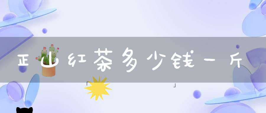 正山红茶多少钱一斤
