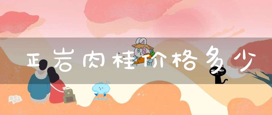 正岩肉桂价格多少
