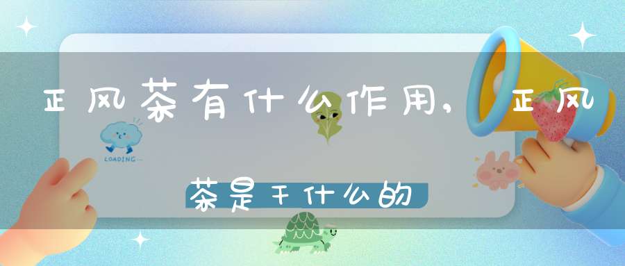 正风茶有什么作用,正风茶是干什么的