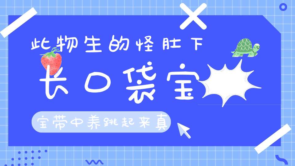此物生的怪，肚下长口袋，宝宝带中养，跳起来真快。（打一动物）