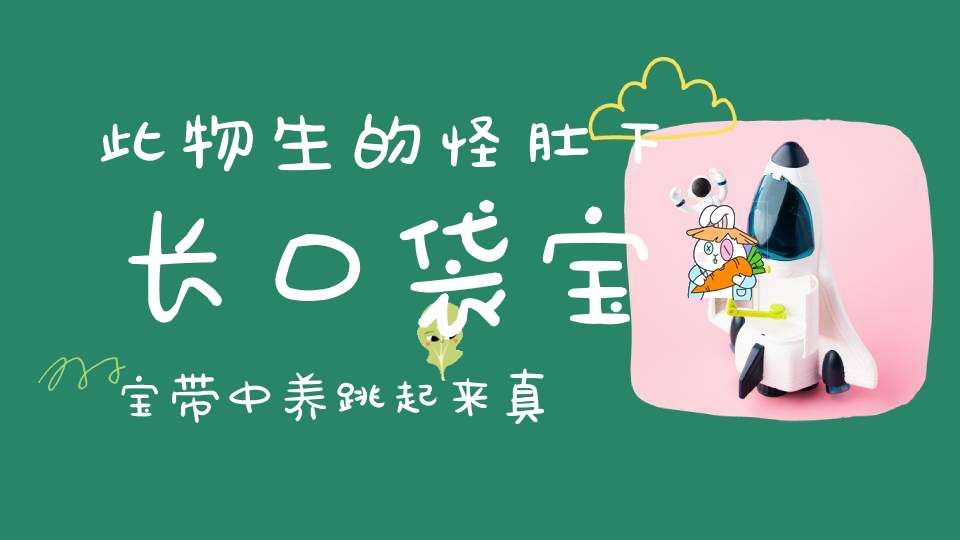 此物生的怪，肚下长口袋，宝宝带中养，跳起来真快（打一动物）