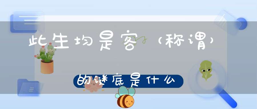 此生均是客 （称谓）的谜底是什么?