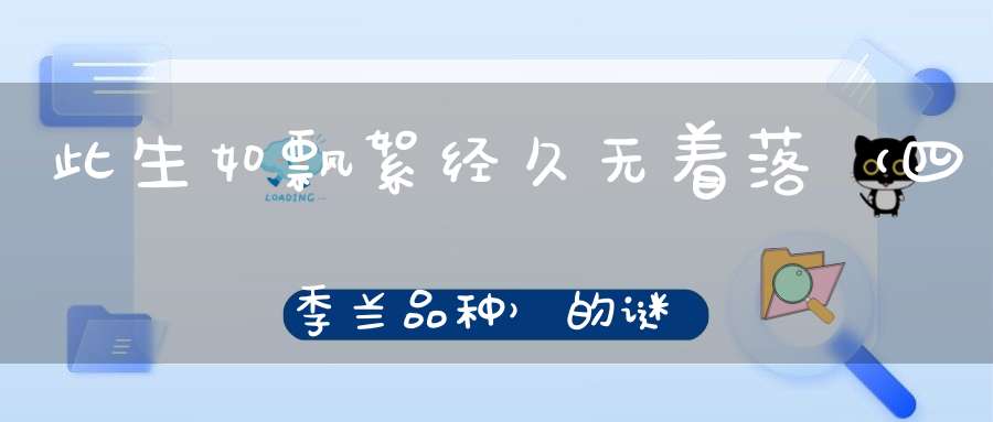 此生如飘絮，经久无着落 （四季兰品种）的谜底是什么?