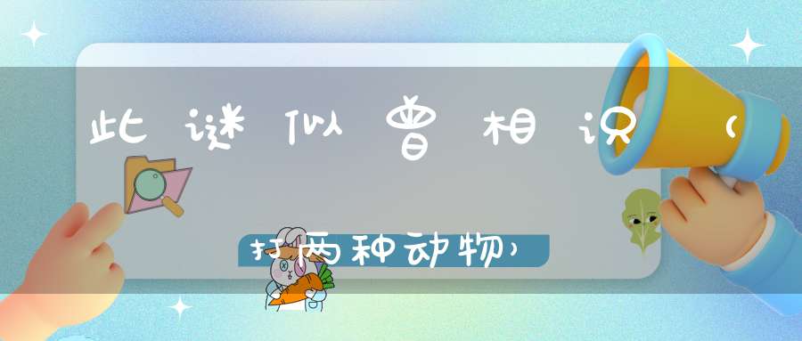 此谜似曾相识（打两种动物）