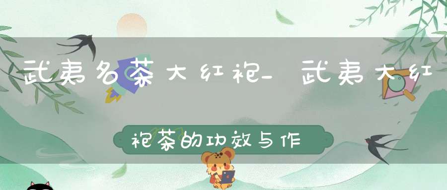 武夷名茶大红袍_武夷大红袍茶的功效与作用