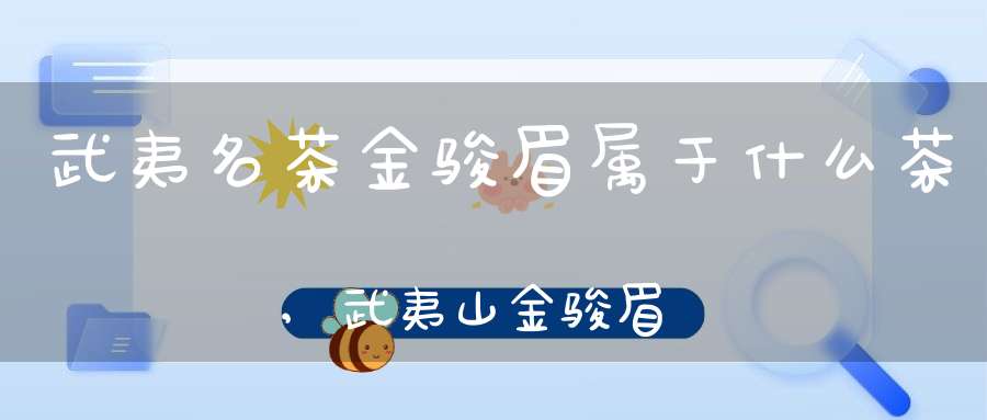 武夷名茶金骏眉属于什么茶,武夷山金骏眉特点