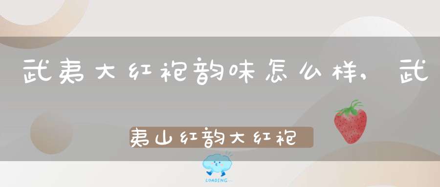 武夷大红袍韵味怎么样,武夷山红韵大红袍价格