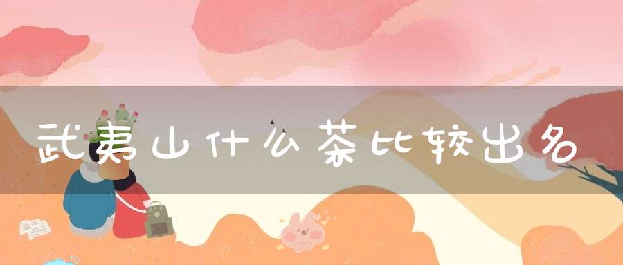 武夷山什么茶比较出名