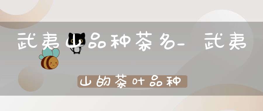 武夷山品种茶名_武夷山的茶叶品种