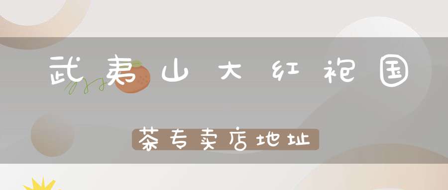 武夷山大红袍国茶专卖店地址