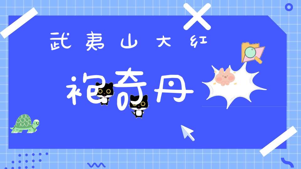 武夷山大红袍奇丹