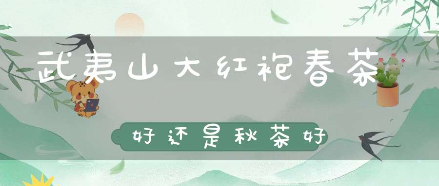 武夷山大红袍春茶好还是秋茶好