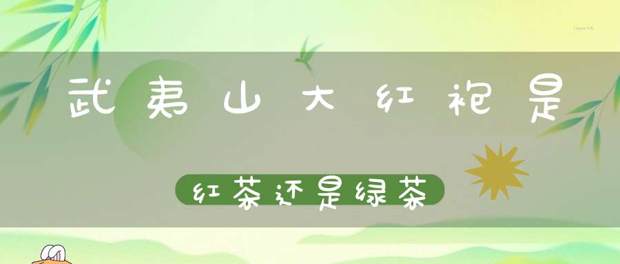 武夷山大红袍是红茶还是绿茶