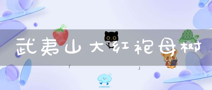 武夷山大红袍母树