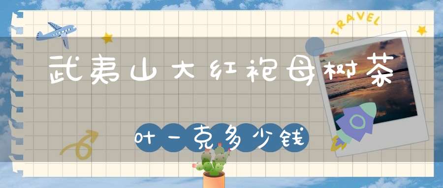 武夷山大红袍母树茶叶一克多少钱